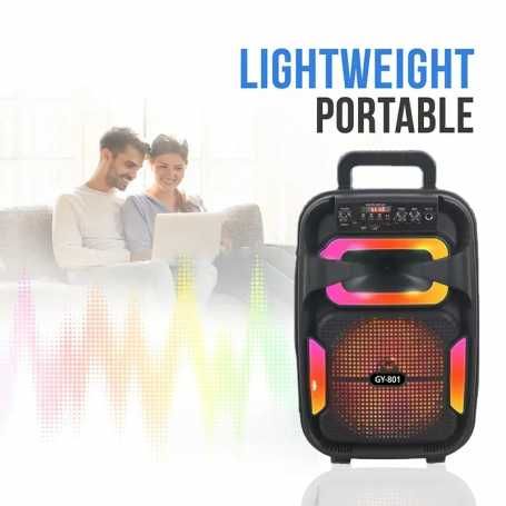 Радио тонколона GY-801 8" микрофон/FM/bluetooth/USB/TF card