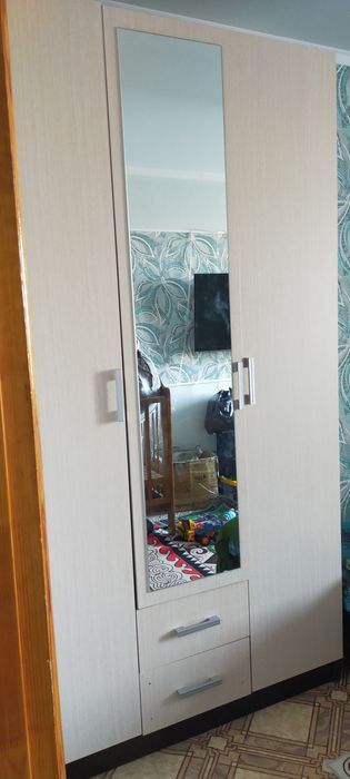 Пролам шкаф платной и с полками