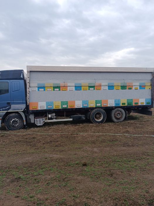 Camion omologat apicol