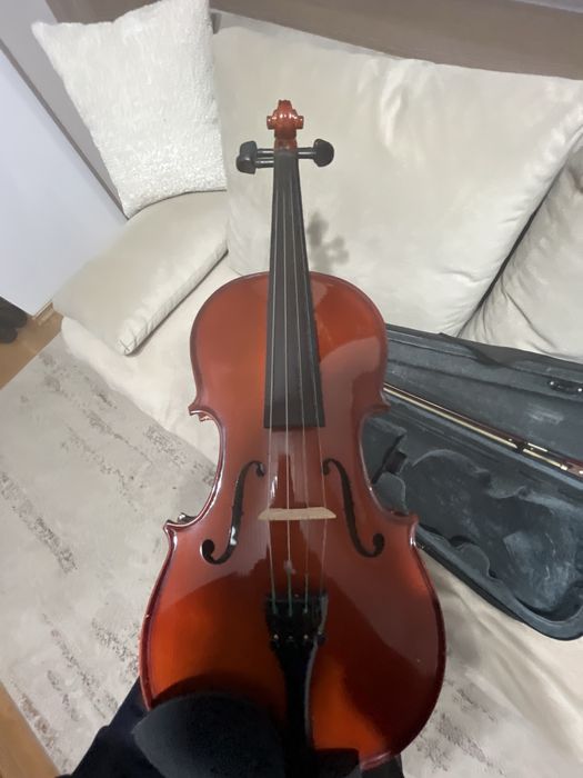 Vand Vioara - 3/4