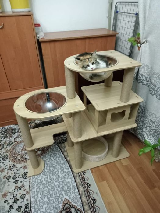 Когтеточка для кошек
