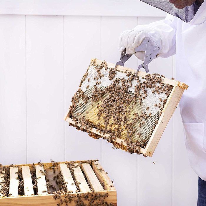 Щипка за пчелни рамки пита с мед пчели пчелар пчеларска вилица нож