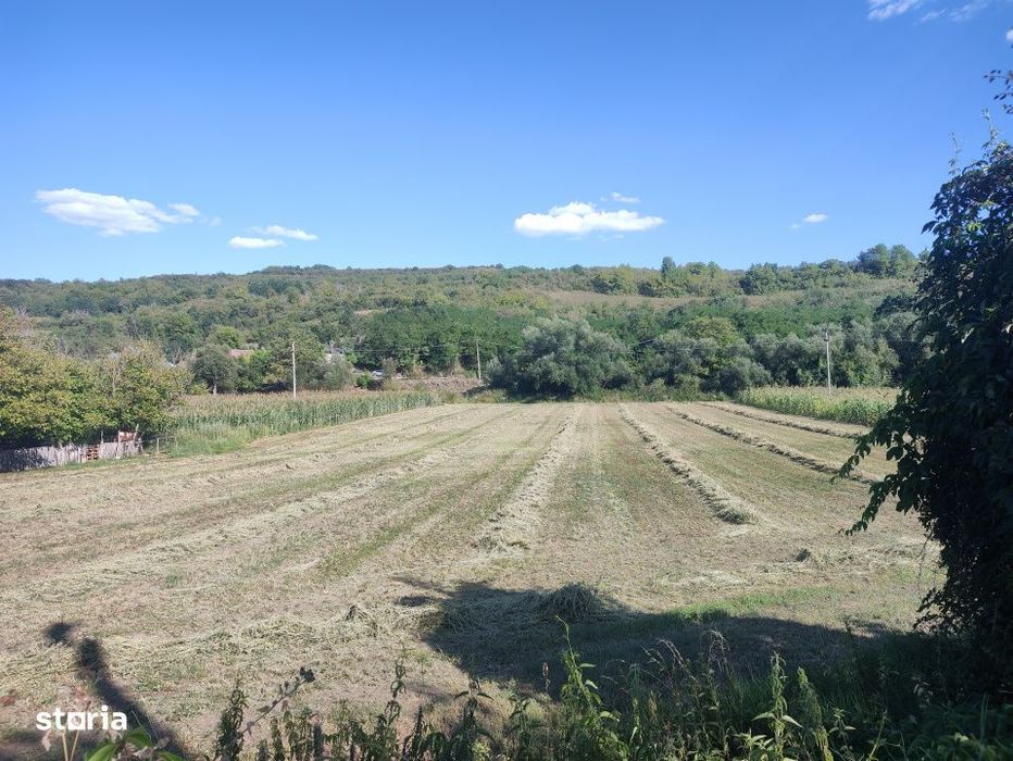 Teren intravilan 1900 mp, TAGA  sat NASAL, pretabil constructie, zona