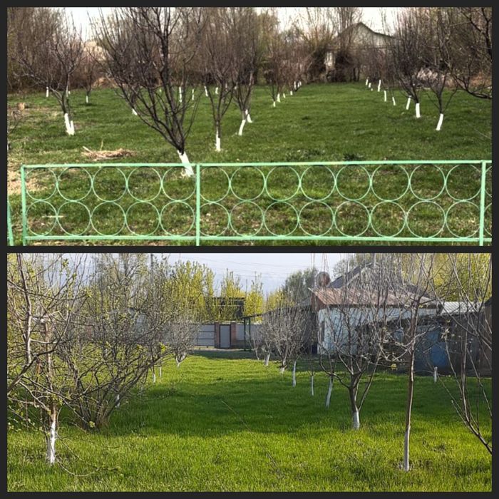 Үй сатылады 20 соттық жерімен