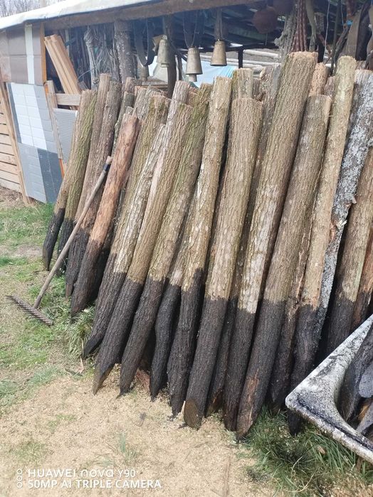 Акациеви колчета за електропастири ,крави,коне,кози , овце ! 4 лв /бр.