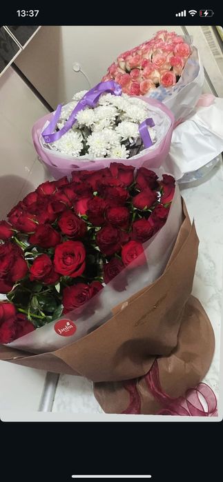 Гүл сатылады аржан бағада