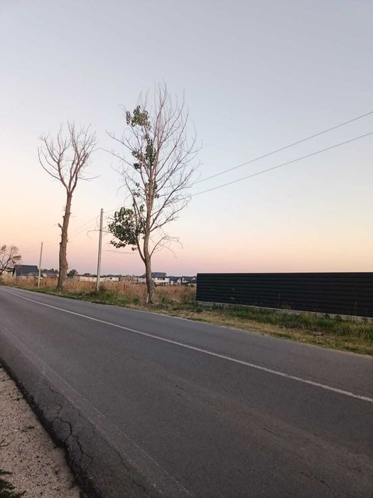 Măgurele 1.550 mp, la drum judetean 58m deschidere