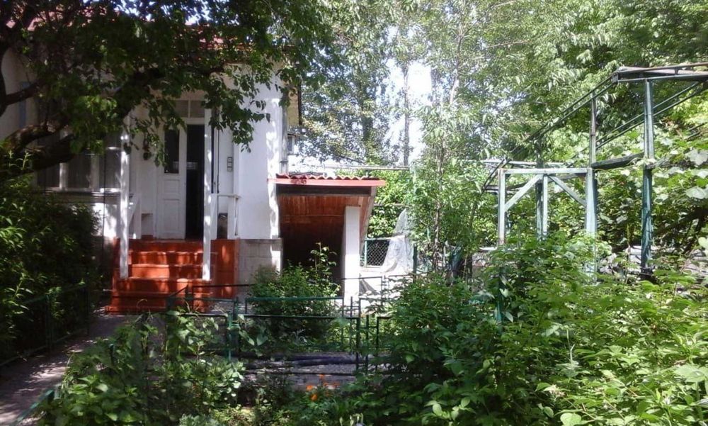 Чингельды. 1,5 гектара