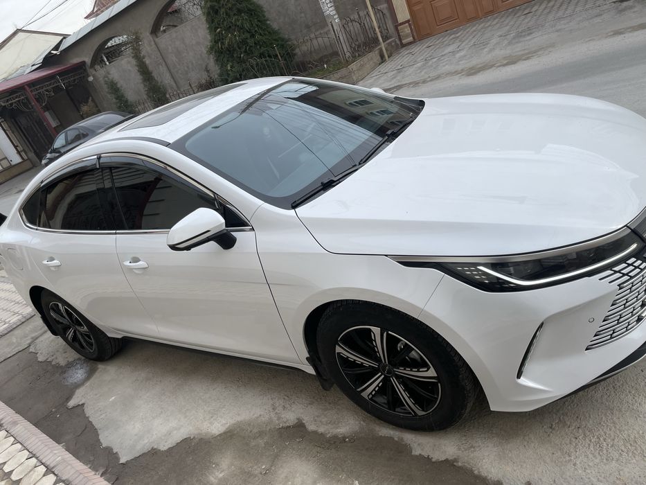 BYD Chazor 120 km full