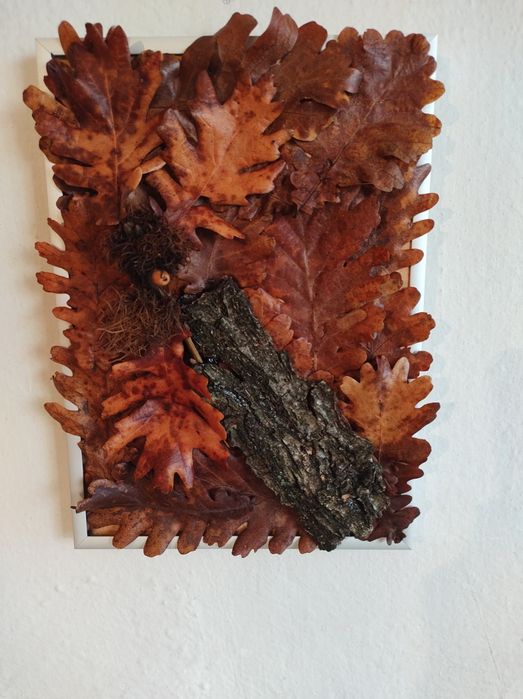 Фото картини и изделия стабилизира мъх