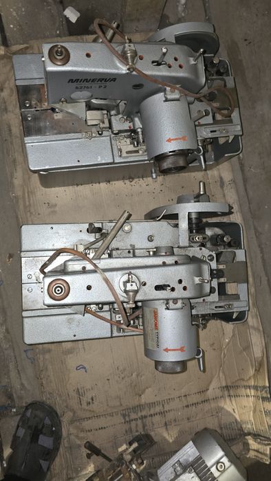 Minerva, глазковая