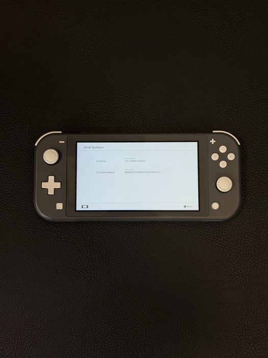 Nintendo Switch Lite