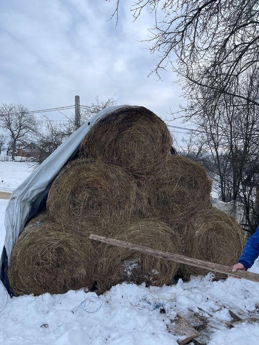Baloți uscați de fân