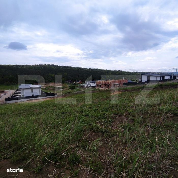 Teren de vanzare in Valea Lupului – Strada Lacului | 2 parcele a cat