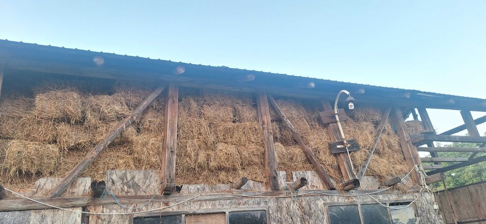 Baloți lucernă coasa 1 si 2