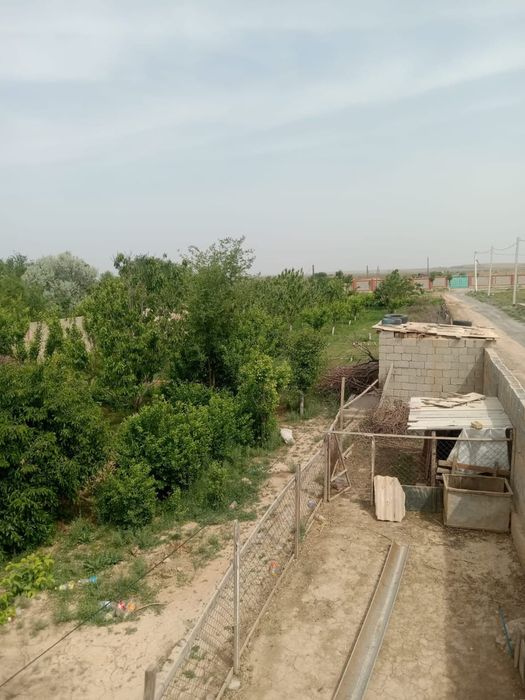 Город Арыс дачы огорот