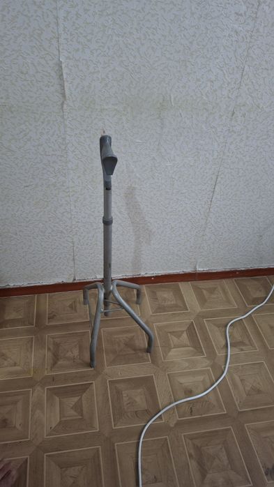Трость.      паук