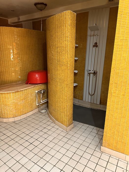 Баня на дровах бассейн