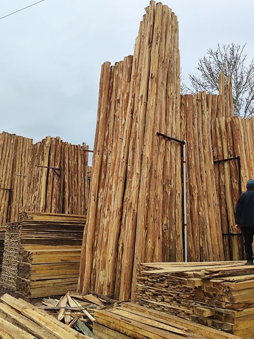 Terak mahsulotlari bor istalgan razmerlarda qilib beramiz.va olamiz