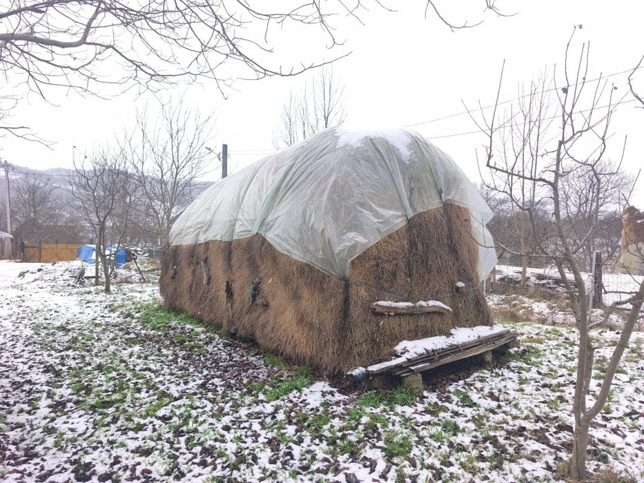 Fin si otava de vinzare