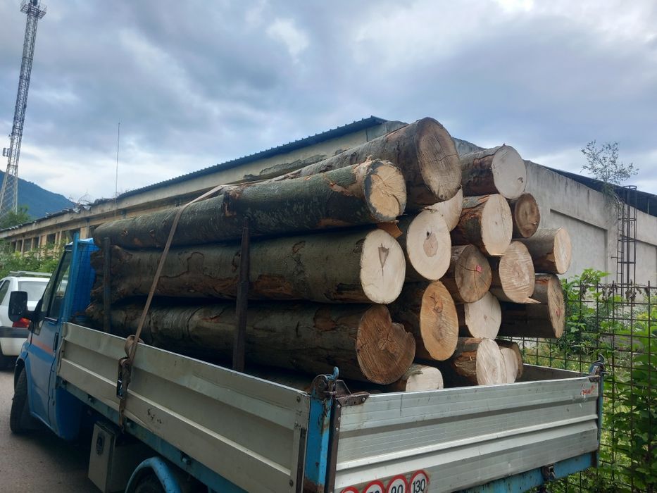 Lemn de foc fag buștean paleti de ceuri și deșeuri de fag