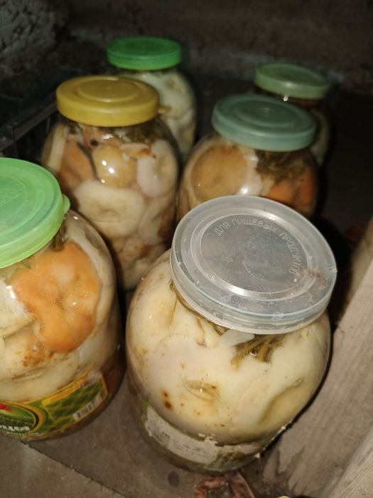 Соленые лесные грибы!