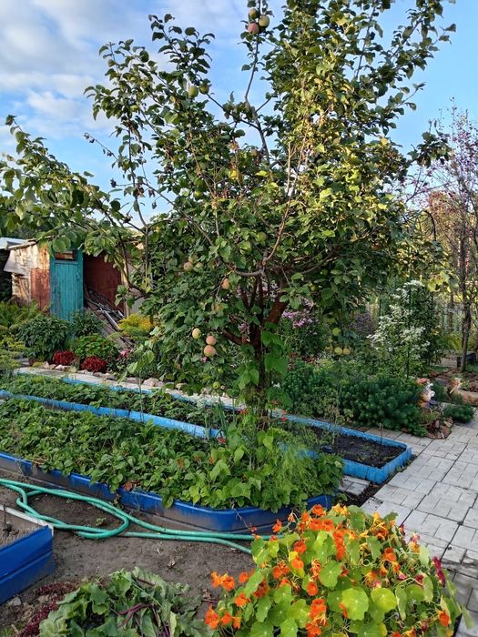 Продам ухоженную дачу