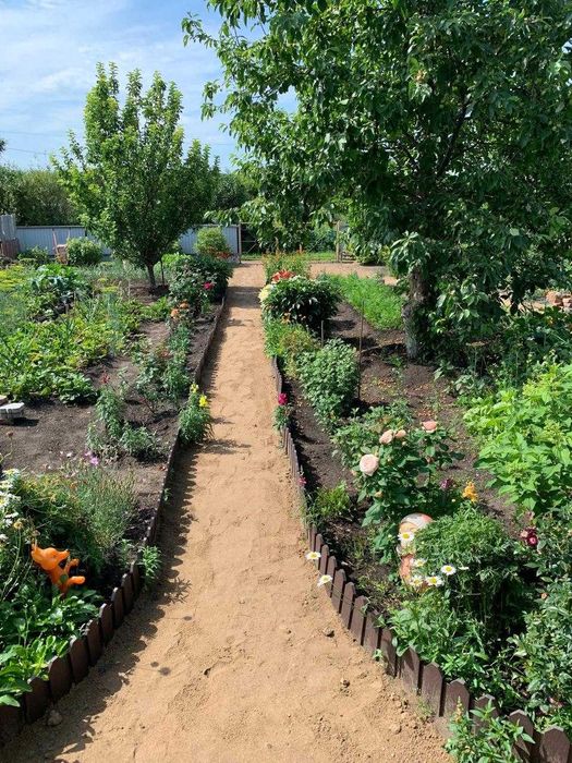 Продам дачу 5 соток в садовом обществе Космос