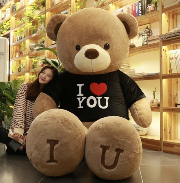 Мягкие Мишка