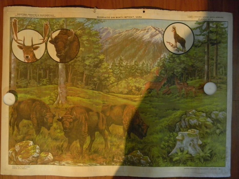 Planse pentru prescolari din perioada comunista