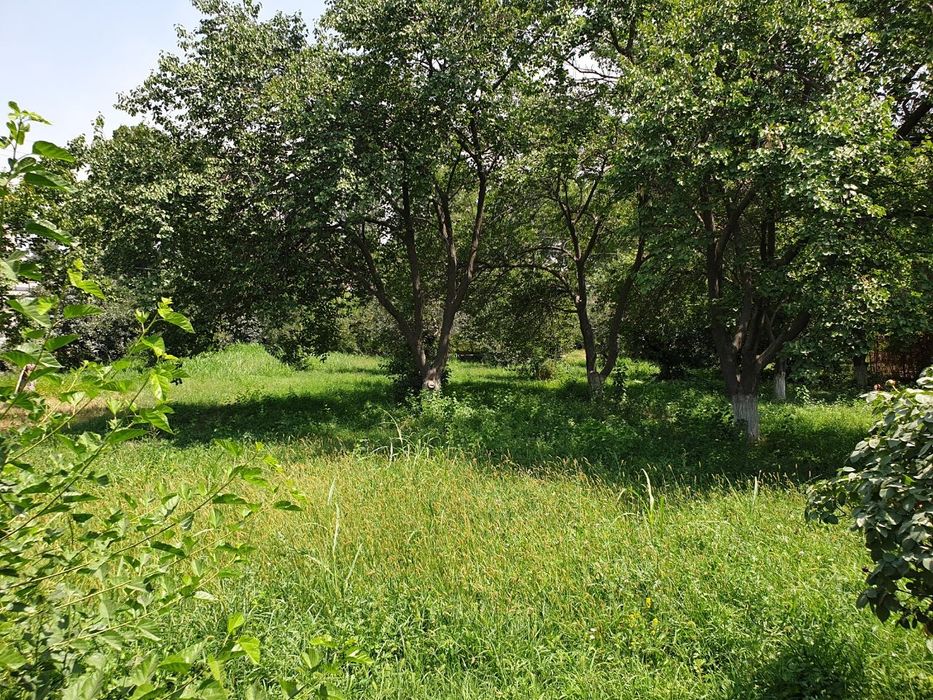 Нотурар 50-сотих Худуд Сотилади