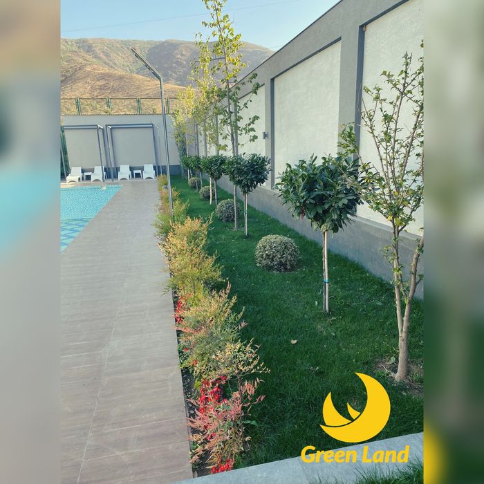 Landshaft dizayn, avtopoliv, gazon urug’i va ruloni, daraxtni dorilash