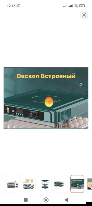 Инкубатор Бизон новый