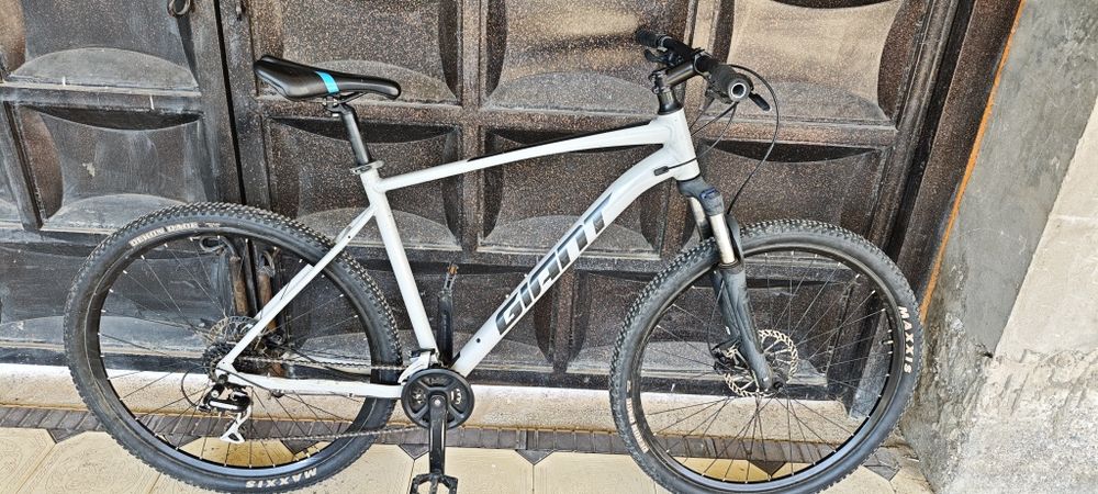 Giant talon  2022