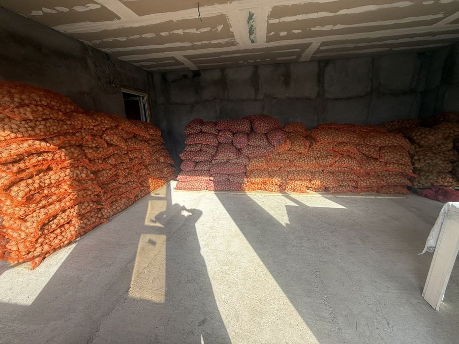 Vand cartofi de sămânță și de mancat