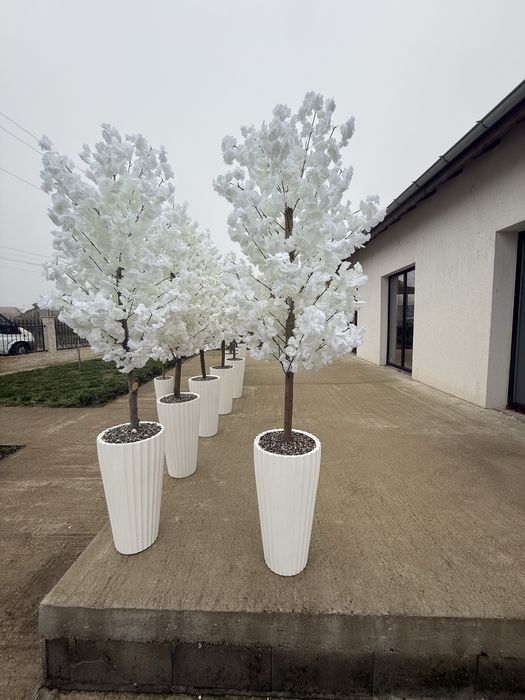 Декоративно дърво 2метра със саксия