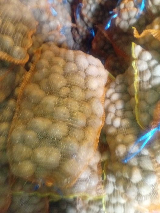 Cartof consum si samanta