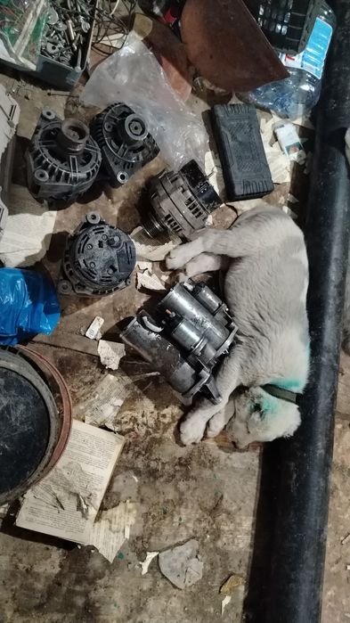 Стартер генератор на газель 406.409 двиготель