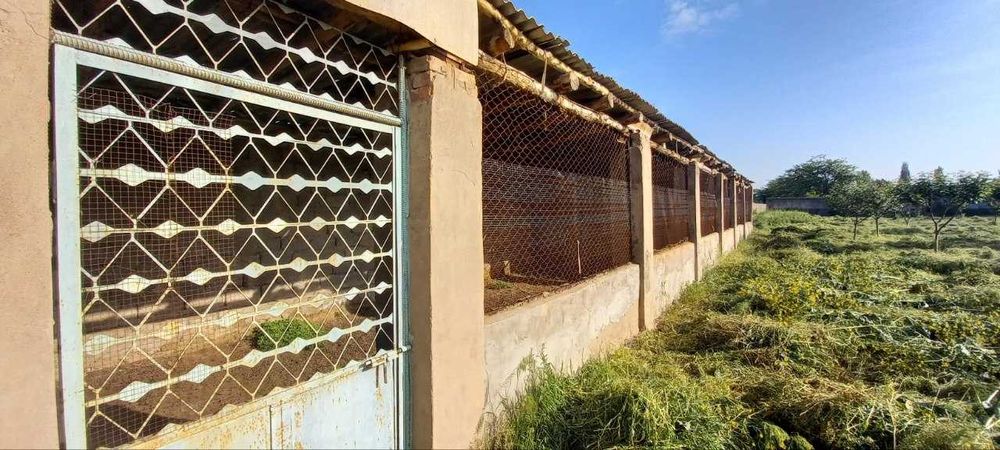 Ер участкаси Нурафшон шахар, Тошкент шахаридан узок булмаган худудда