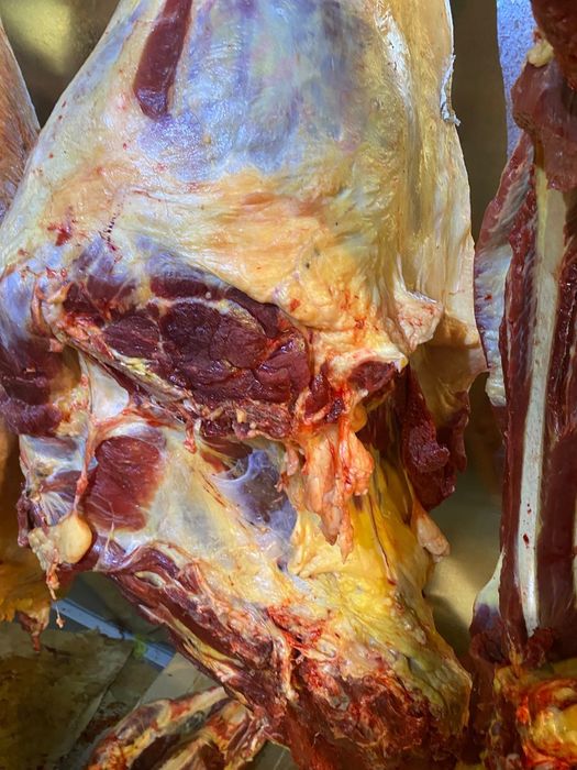 Мясо конины всегда в продаже