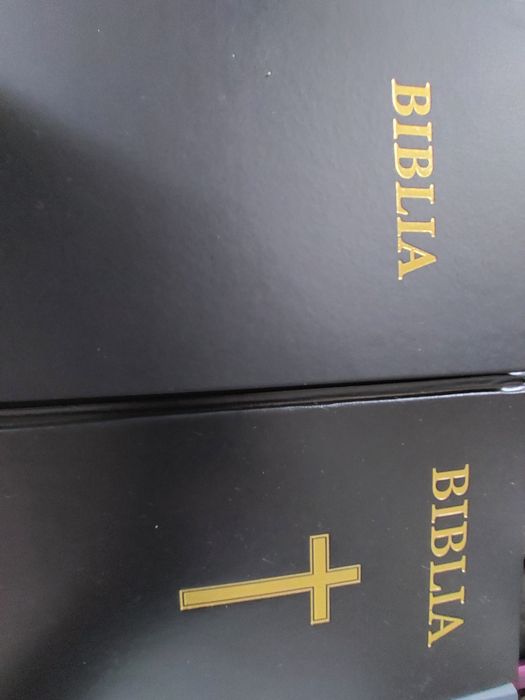 Biblie Biblia Carte Noul și Vechiul Testament Romana și Maghiara NOI