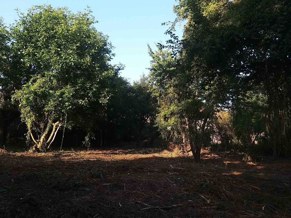 Продава се Парцел в с. Гълъбник, Област Перник - 2000 кв.м за 35 €/кв.м - Снимка #4