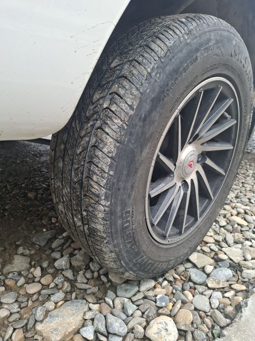 13 vossen diska abmen