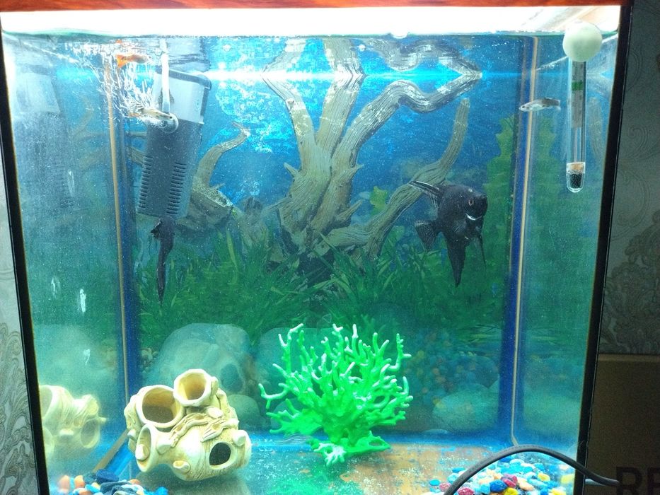 Продам аквариум 40литров