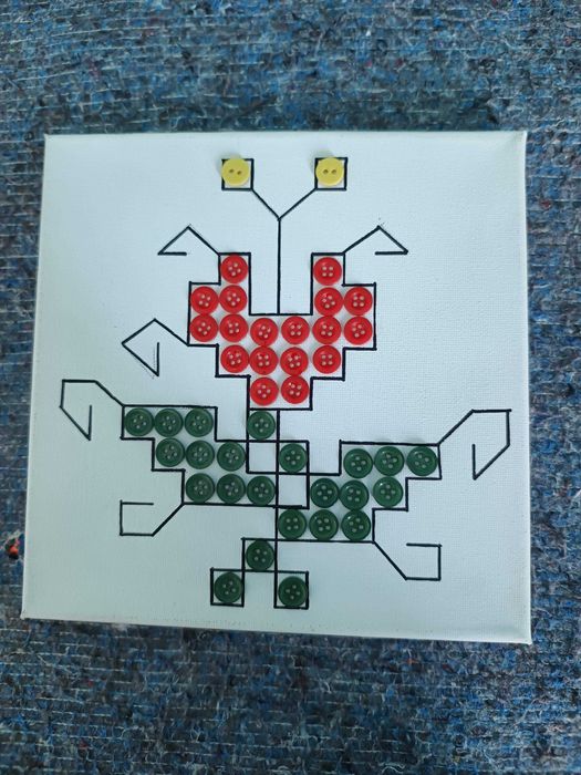 апликации шевици