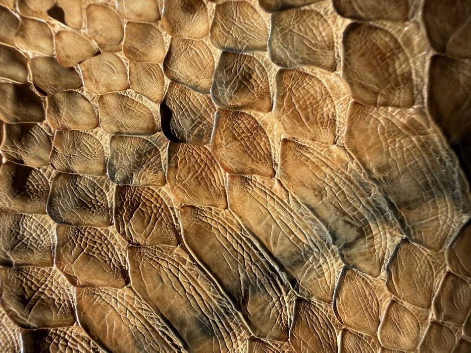 Geanta Prada din piele naturala de piton, accept SI schimburi.