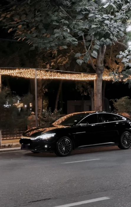 BYD han   506 talik