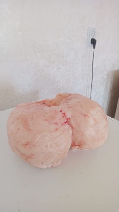 Құйрық май курдюк