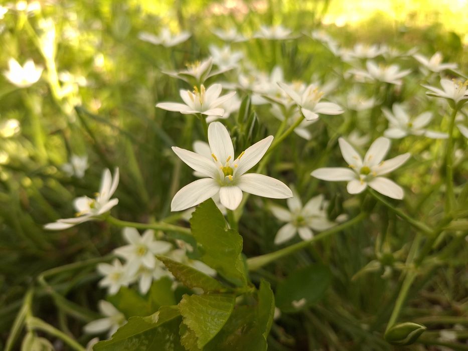 Обменяю самсунг а56 5джи