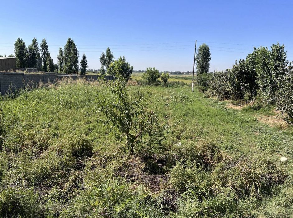 Kadastrli hovli zudlik bn sotladi 5 sotx